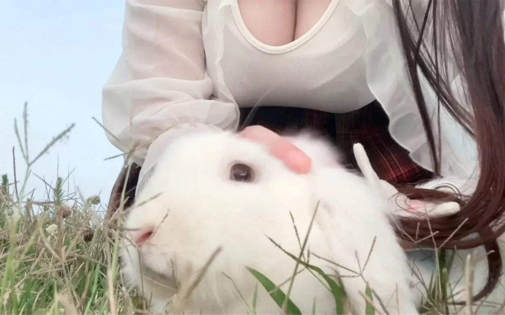 软月月减脂日记：每日打卡记录，舰长福利图包完整版-视听日记VIP